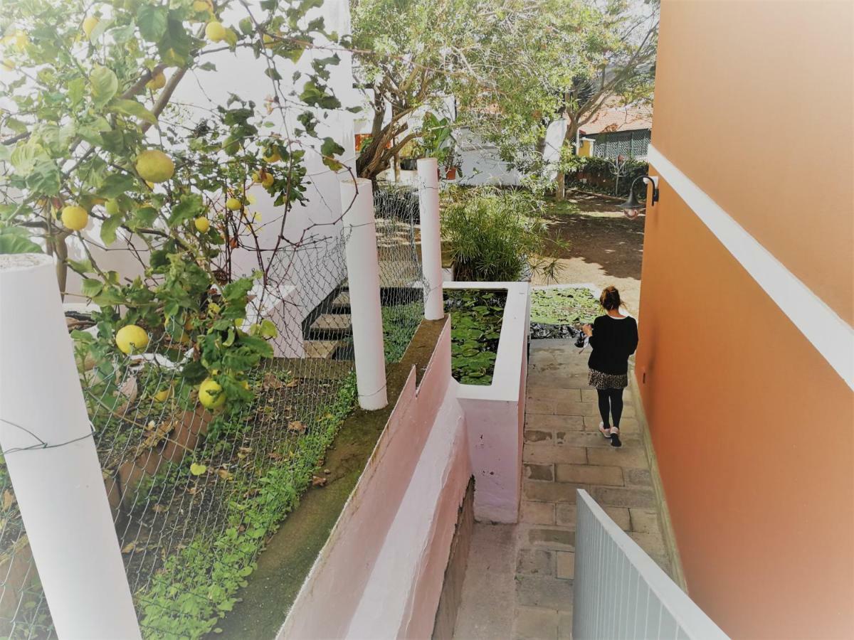Apartamento Lemmon Tree Santa Brigida  Ngoại thất bức ảnh
